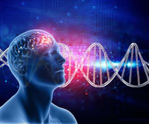 ¿El cerebro se recupera de las drogas?