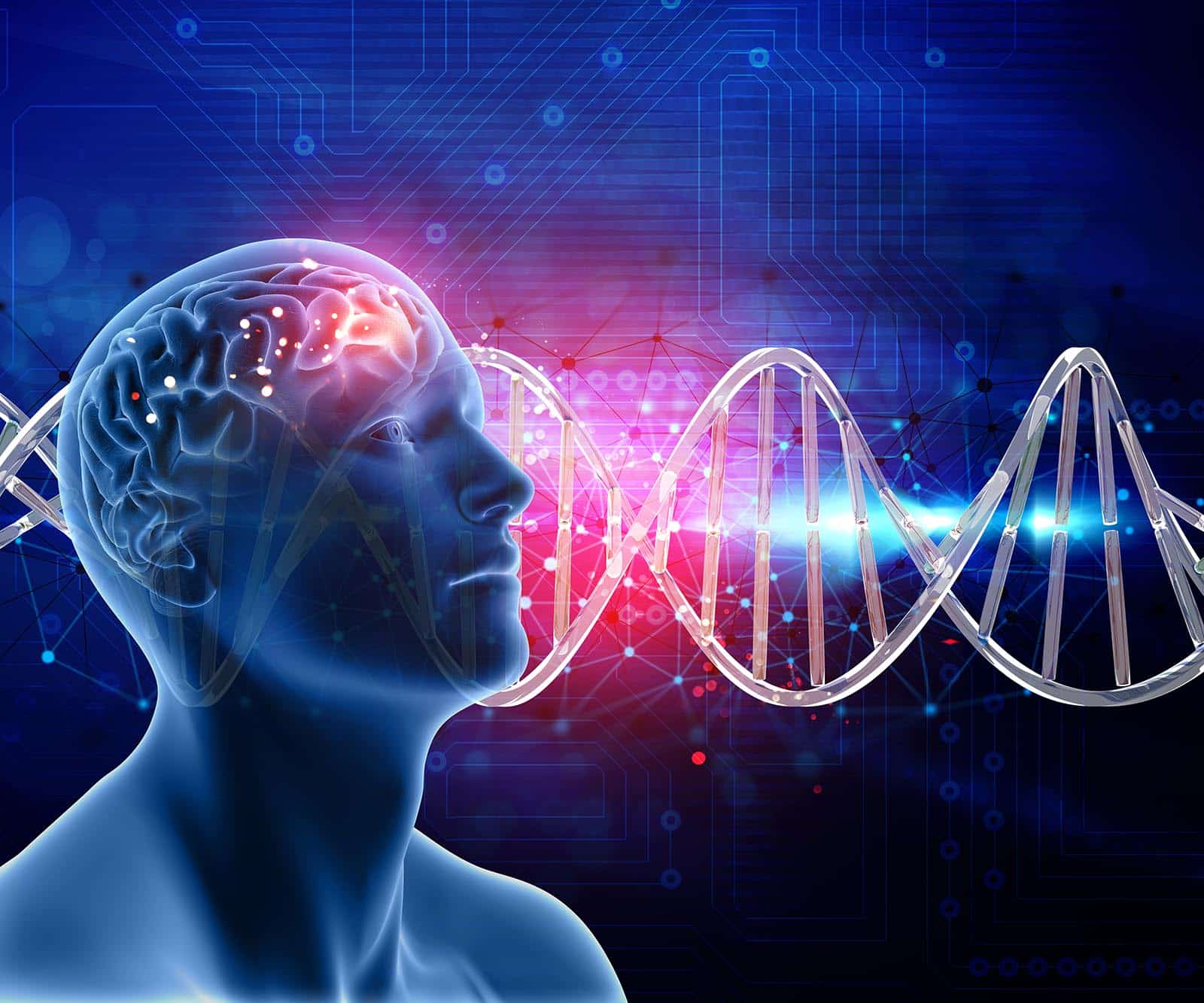 ¿Cómo afectan las drogas al cerebro?